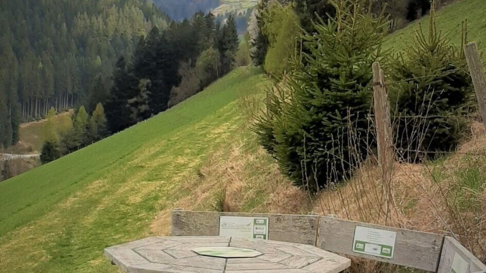 Hiking route Waldweg zur Mühle, Gasen - Touren-Impression #2.7 | © Oststeiermark Tourismus