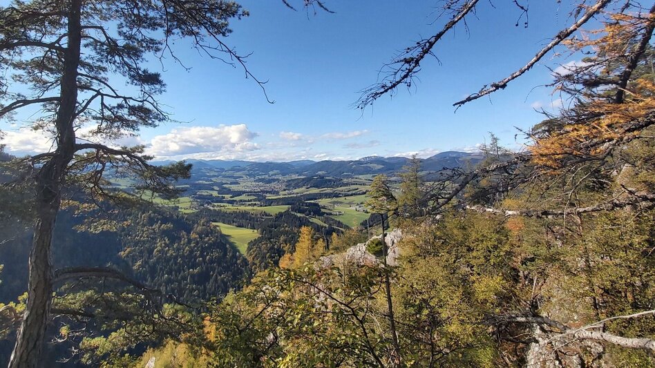 Hiking route Patscharound with "Patschanose", Naas - Touren-Impression #2.1 | © Oststeiermark Tourismus