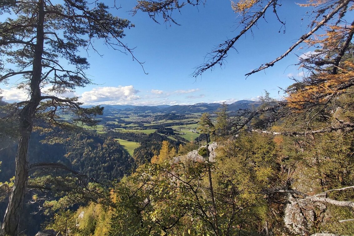 Hiking route Patscharound with "Patschanose", Naas - Touren-Impression #1 | © Oststeiermark Tourismus