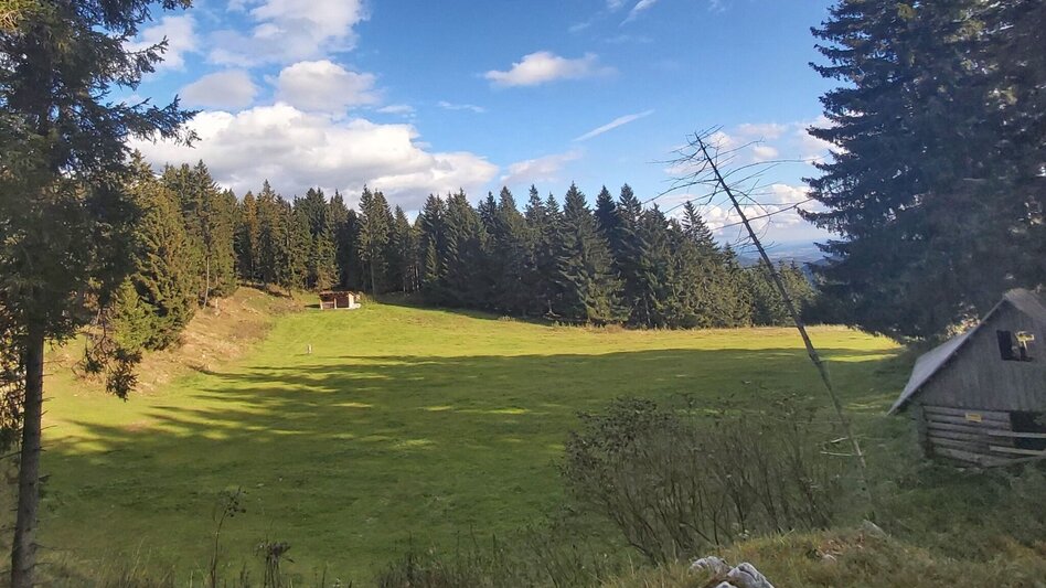 Hiking route Patscharound with "Patschanose", Naas - Touren-Impression #2.12 | © Oststeiermark Tourismus