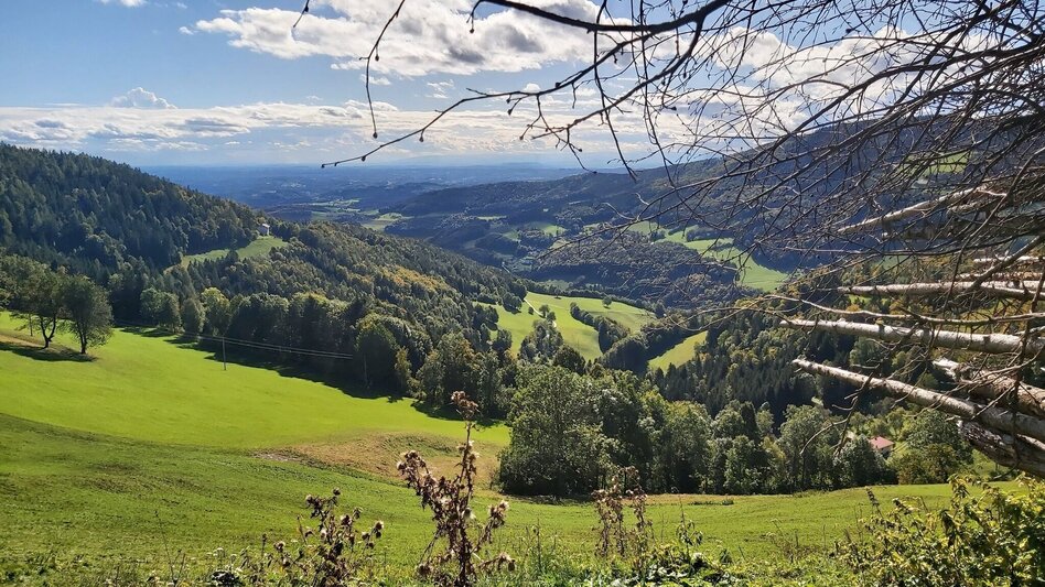 Hiking route Patscharound with "Patschanose", Naas - Touren-Impression #2.3 | © Oststeiermark Tourismus