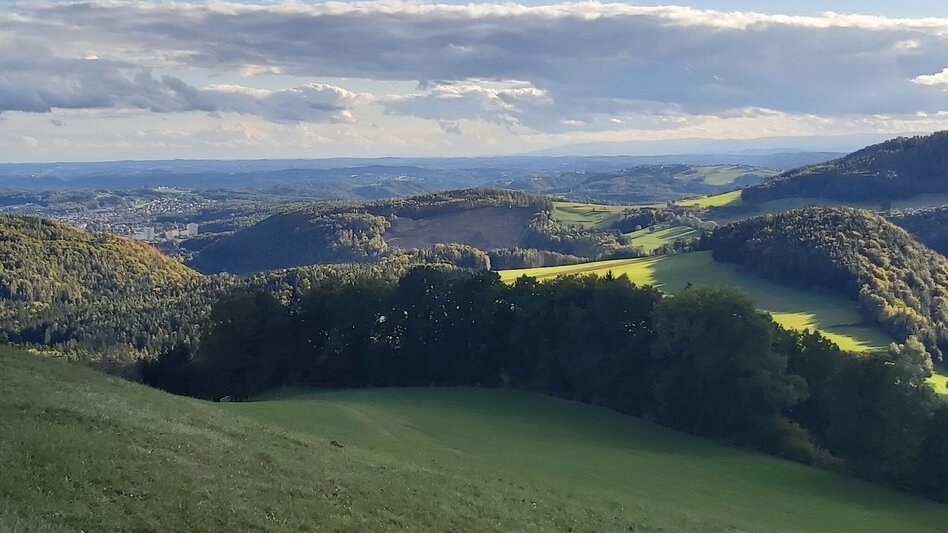 Hiking route Patscharound with "Patschanose", Naas - Touren-Impression #2.2 | © Oststeiermark Tourismus