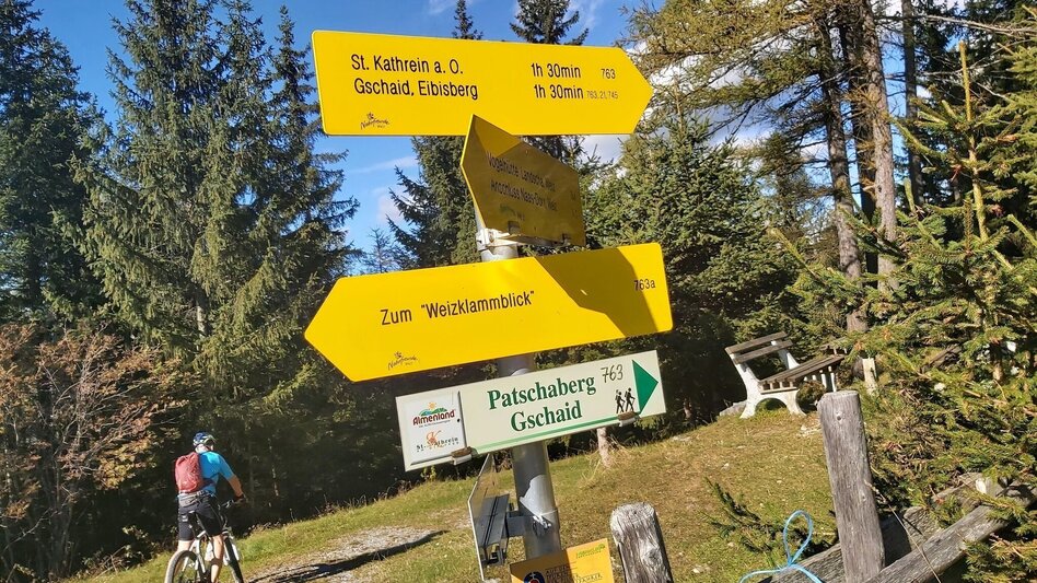 Hiking route Patscharound with "Patschanose", Naas - Touren-Impression #2.8 | © Oststeiermark Tourismus