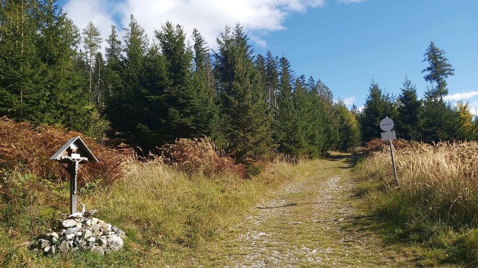 Hiking route Patscharound with "Patschanose", Naas - Touren-Impression #2.9 | © Oststeiermark Tourismus