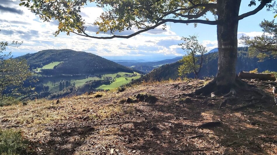 Hiking route Patscharound with "Patschanose", Naas - Touren-Impression #2.4 | © Oststeiermark Tourismus