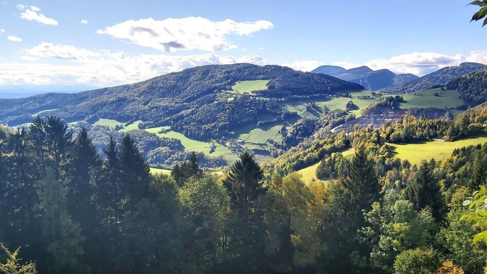 Hiking route Patscharound with "Patschanose", Naas - Touren-Impression #2.15 | © Oststeiermark Tourismus