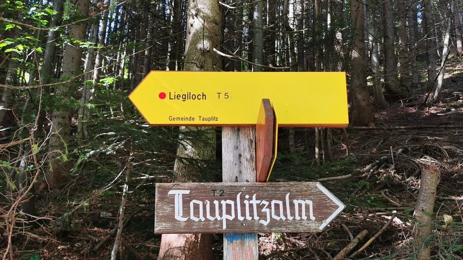 Hiking route Hike to the Lieglloch - Touren-Impression #2.4