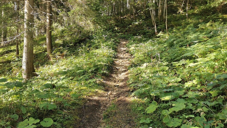 Hiking route Hike to the Lieglloch - Touren-Impression #2.6