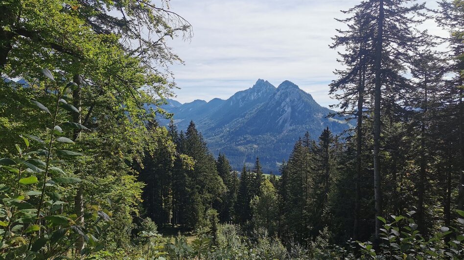 Hiking route Hike to the Lieglloch - Touren-Impression #2.11