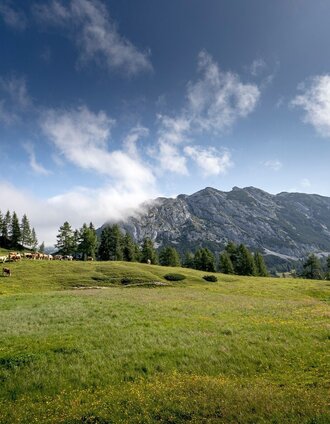 Traweng | Tom Lamm | © Ausseerland