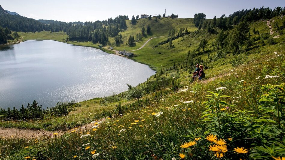 Hiking route Hike from the Tauplitzalm to the Ödernalm and Bad Mitterndorf - Touren-Impression #2.1 | © Ausseerland