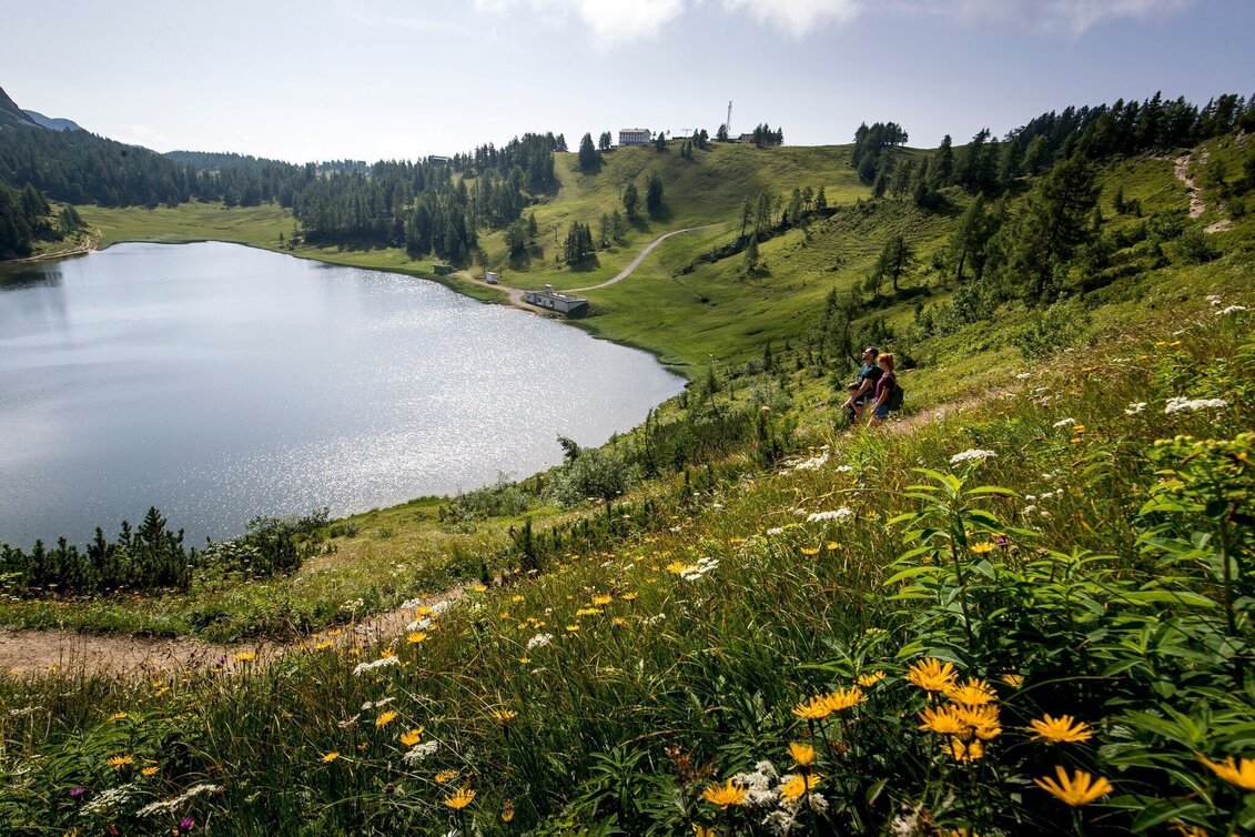 Hiking route Hike from the Tauplitzalm to the Ödernalm and Bad Mitterndorf - Touren-Impression #1 | © Ausseerland
