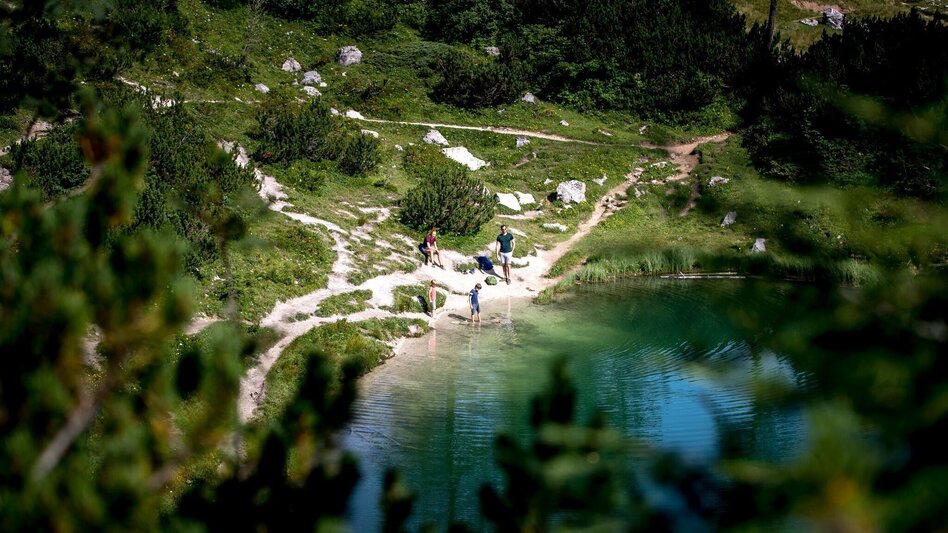 Hiking route Hike from the Tauplitzalm to the Ödernalm and Bad Mitterndorf - Touren-Impression #2.2 | © Ausseerland