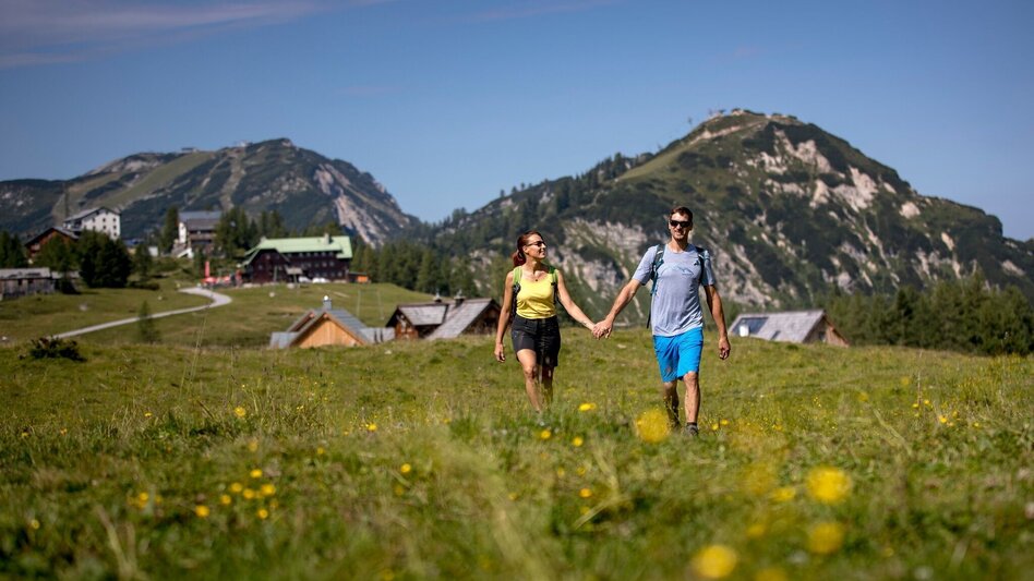 Hiking route Family friendly hike on the Schneiderkogel - Touren-Impression #2.2 | © Ausseerland