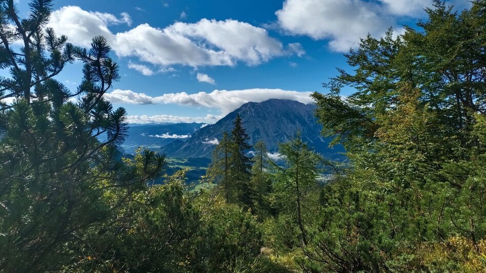 Hiking route Hike from the Tauplitzalm over the Niederblas to Tauplitz - Touren-Impression #2.3 | © Ausseerland