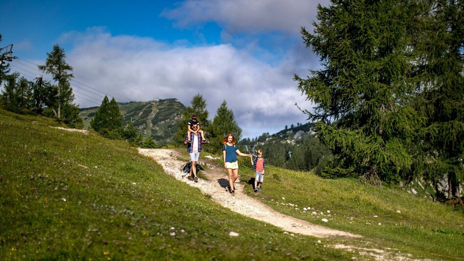Wanderung Wanderung von der Tauplitzalm über den alten Almweg nach Tauplitz - Touren-Impression #2.1 | © Ausseerland