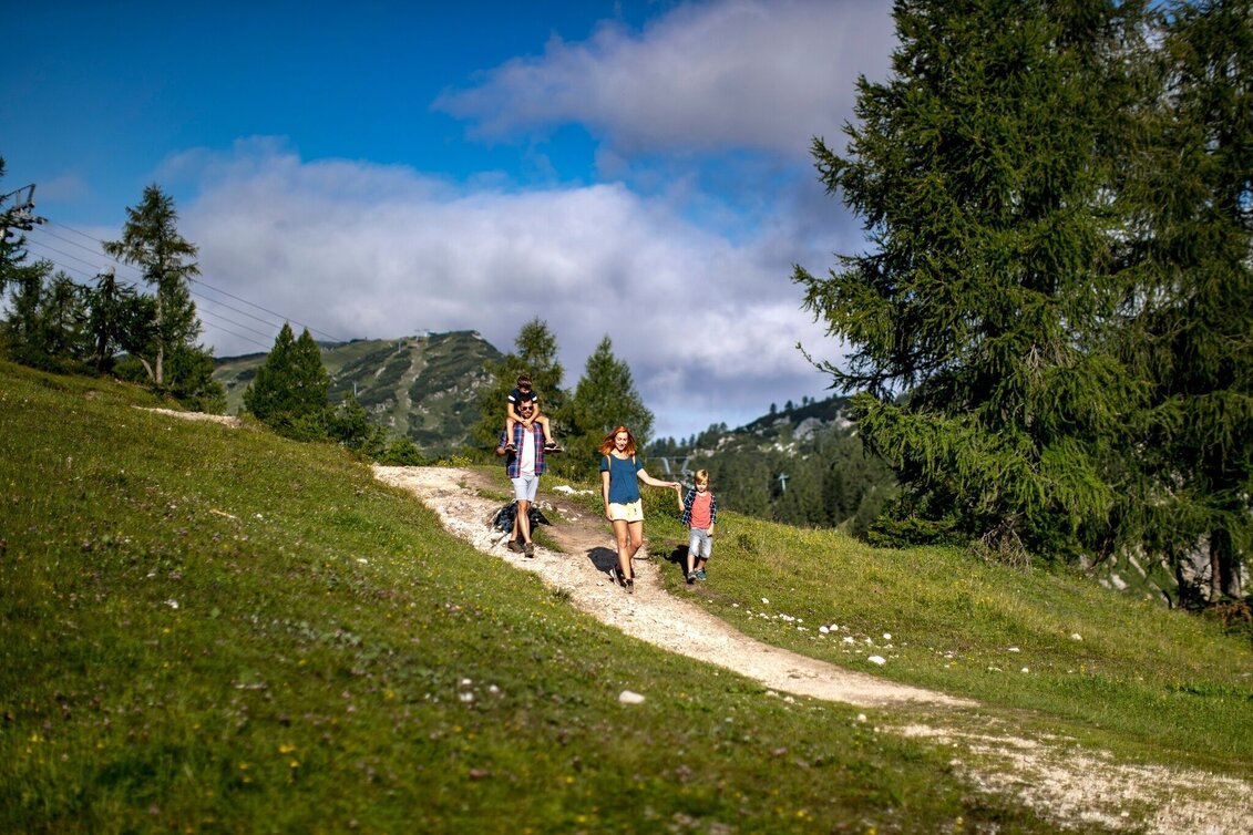 Wanderung Wanderung von der Tauplitzalm über den alten Almweg nach Tauplitz - Touren-Impression #1 | © Ausseerland