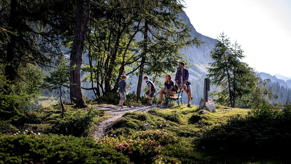 Wanderung Wanderung von der Tauplitzalm über den alten Almweg nach Tauplitz - Touren-Impression #2.3 | © Ausseerland