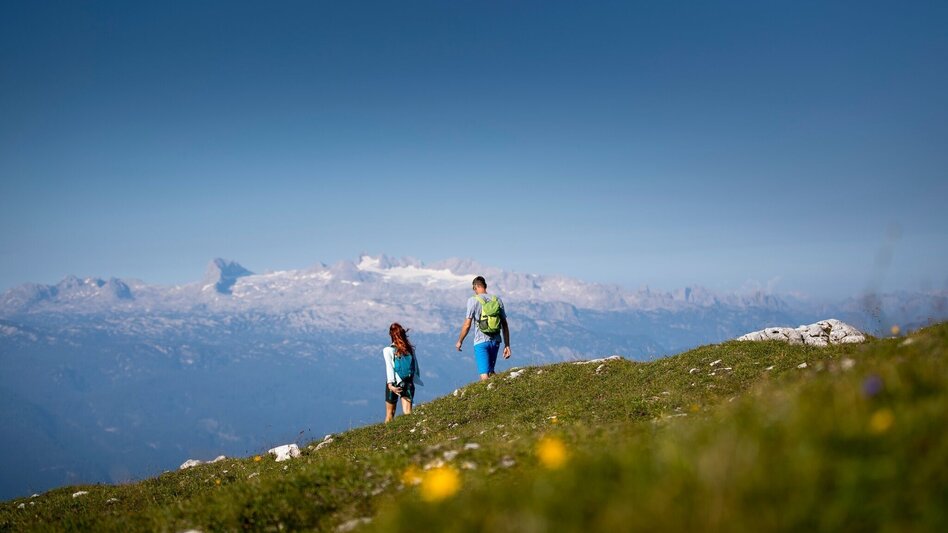 Hiking route Family friendly hike to the Lawinenstein on the Tauplitzalm - Touren-Impression #2.2 | © TVB Ausseerland-Salzkammergut/T. Lamm
