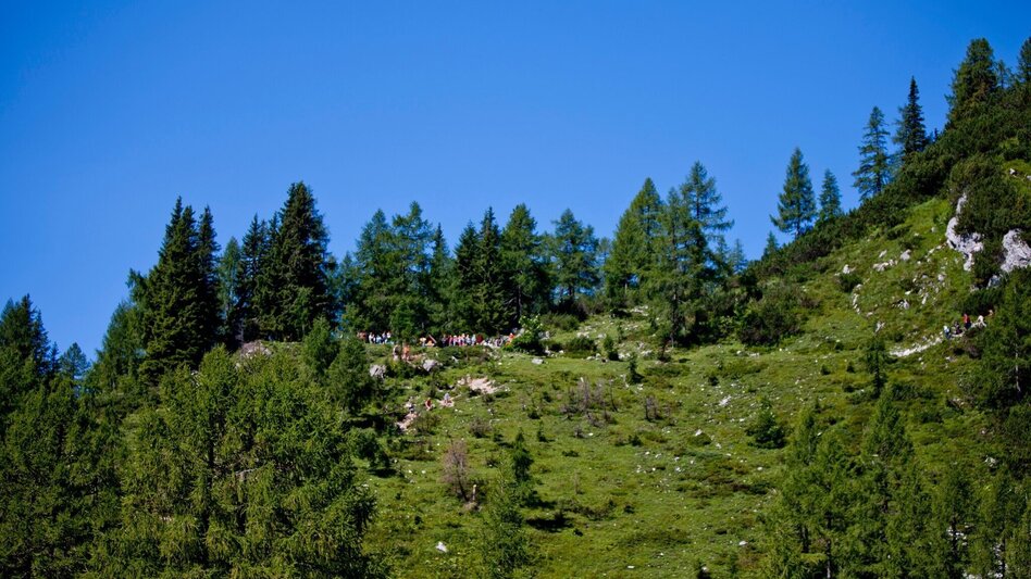Hiking route Family friendly hike to the Steirerseebankerl - Touren-Impression #2.3 | © Tourismusverband Ausseerland Salzkammergut