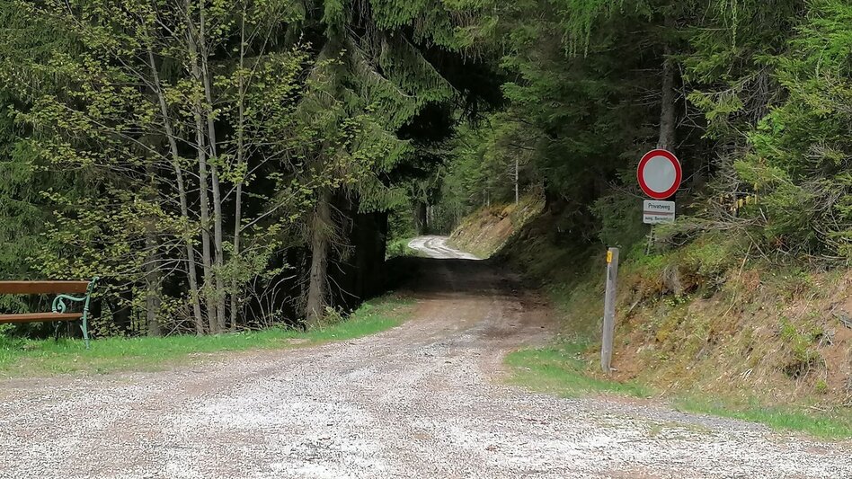 Wanderung Hochbrückenweg - Touren-Impression #2.1 | © Erlebnisregion Schladming-Dachstein
