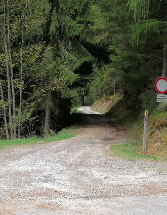 Abzweigung Forststraße Hochbrückenweg | Barbara Luidold | © Erlebnisregion Schladming-Dachstein