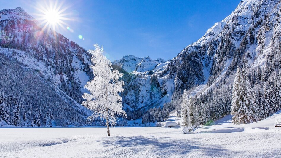 Winterwandern Winterwanderweg Steirischer Bodensee - Touren-Impression #2.1 | © TVB Haus-Aich-Gössenberg