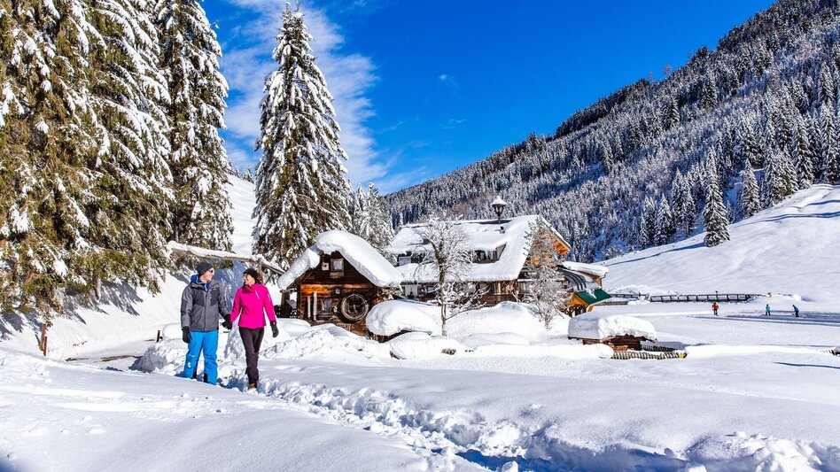 Winterwandern Winterwanderweg Steirischer Bodensee - Touren-Impression #2.2 | © TVB Haus-Aich-Gössenberg