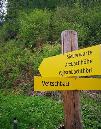 Start in Neuberg an der Mürz | Daniela Paul | © TV Hochsteiermark