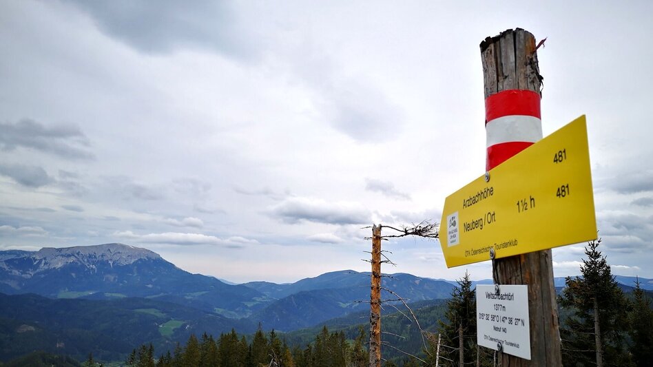 Hiking route To the Hocheckalm in the Mürzer Oberland Nature Park - Touren-Impression #2.3 | © TV Hochsteiermark