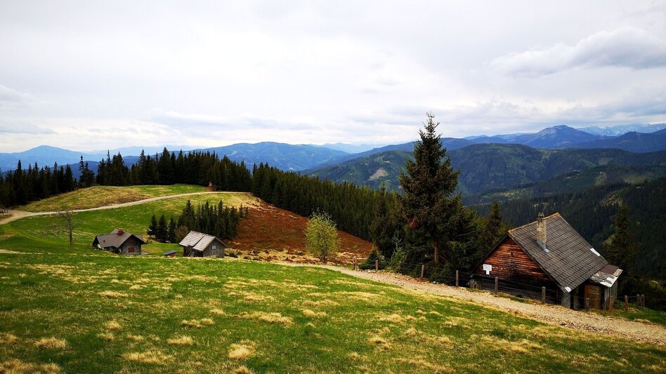 Hiking route To the Hocheckalm in the Mürzer Oberland Nature Park - Touren-Impression #2.5 | © TV Hochsteiermark