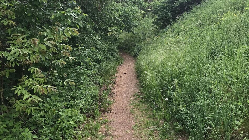 Pilgerweg Papst-Franziskus Pilgerweg von Graz nach Weiz - Touren-Impression #2.8 | © Oststeiermark Tourismus