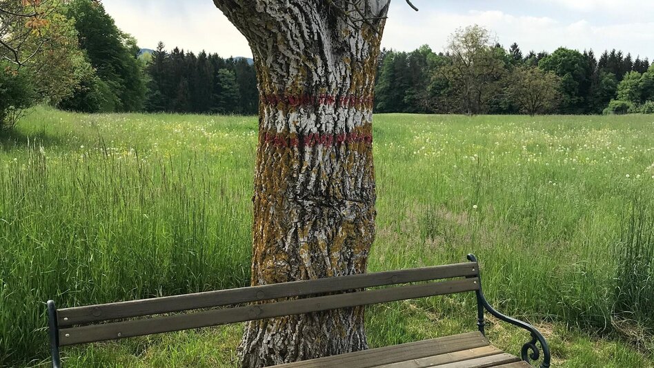 Pilgerweg Papst-Franziskus Pilgerweg von Graz nach Weiz - Touren-Impression #2.11 | © Oststeiermark Tourismus