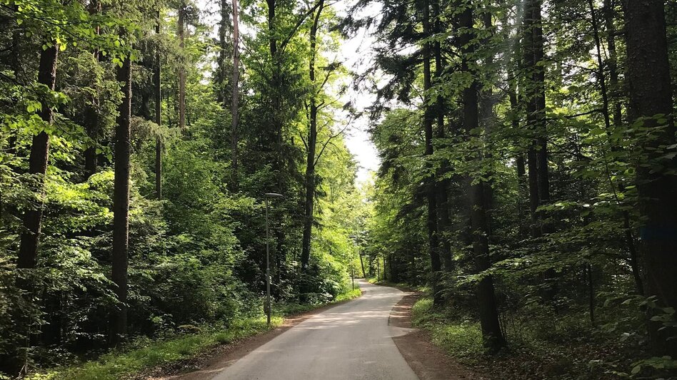 Pilgerweg Papst-Franziskus Pilgerweg von Graz nach Weiz - Touren-Impression #2.14 | © Oststeiermark Tourismus