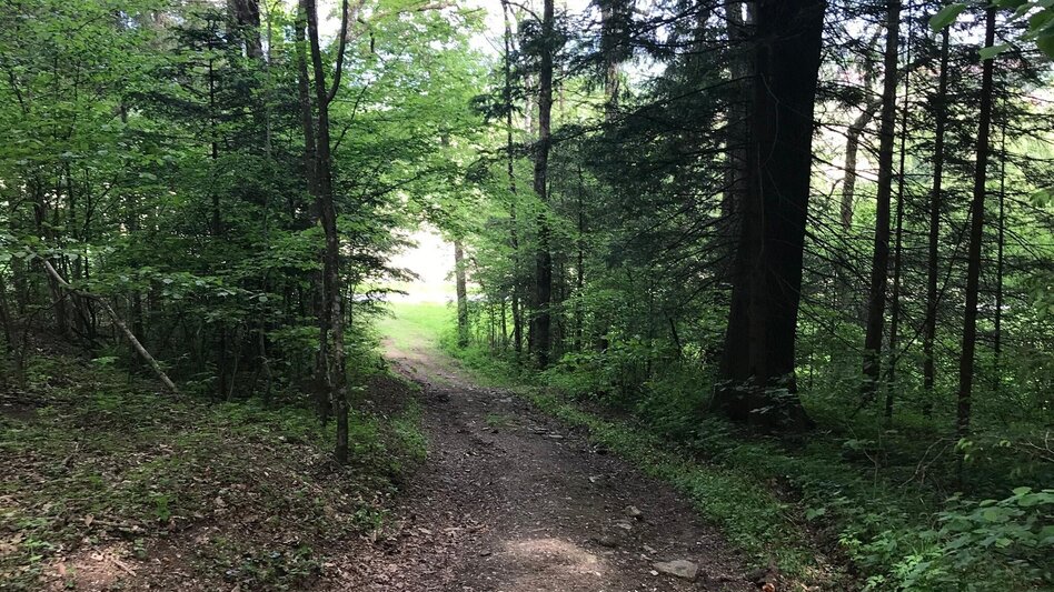 Pilgerweg Papst-Franziskus Pilgerweg von Graz nach Weiz - Touren-Impression #2.18 | © Oststeiermark Tourismus