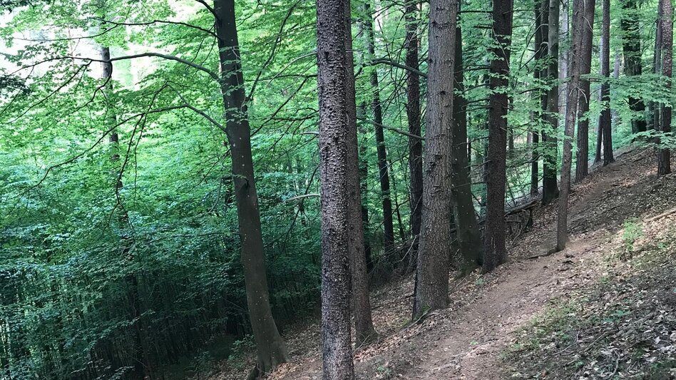 Pilgerweg Papst-Franziskus Pilgerweg von Graz nach Weiz - Touren-Impression #2.26 | © Oststeiermark Tourismus