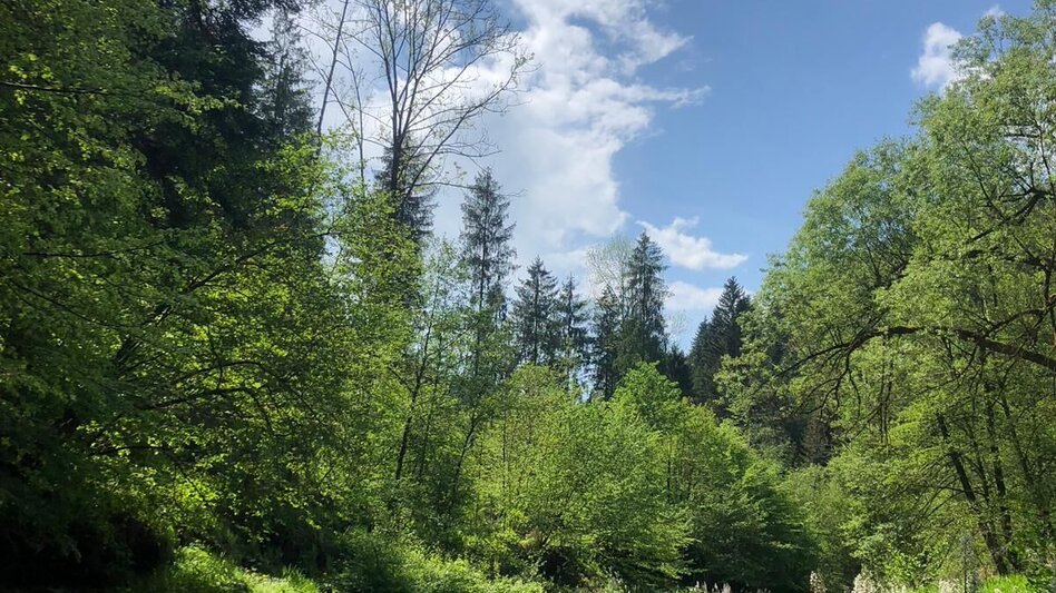 Pilgerweg Papst-Franziskus Pilgerweg von Graz nach Weiz - Touren-Impression #2.27 | © Oststeiermark Tourismus