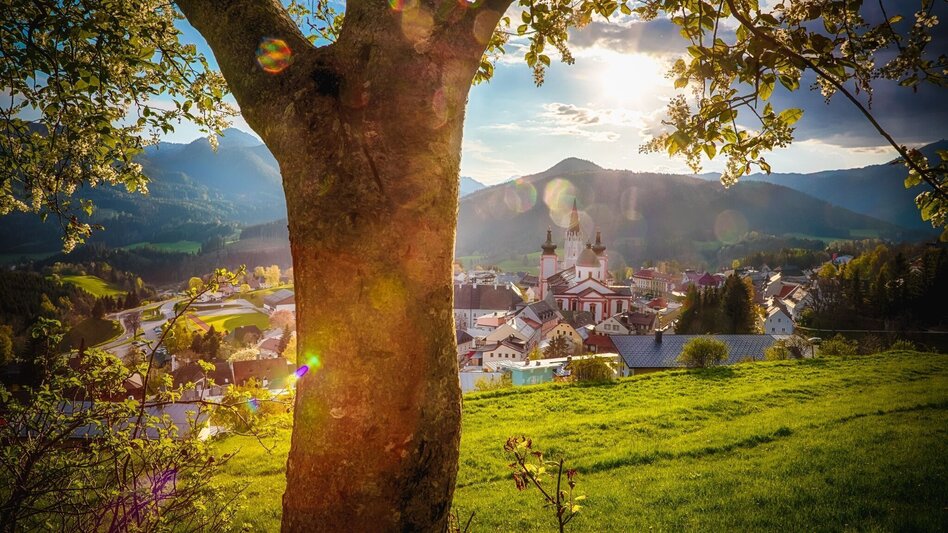 Hiking route Mariazeller EYE VIEWS: Stehralm - Touren-Impression #2.3 | © TV Hochsteiermark