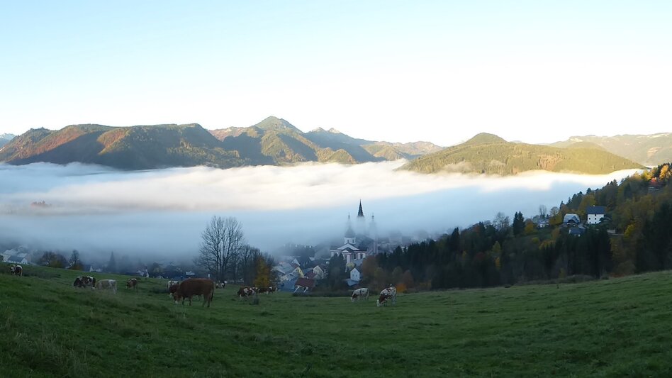 Hiking route Mariazeller EYE VIEWS: Stehralm - Touren-Impression #2.6 | © TV Hochsteiermark