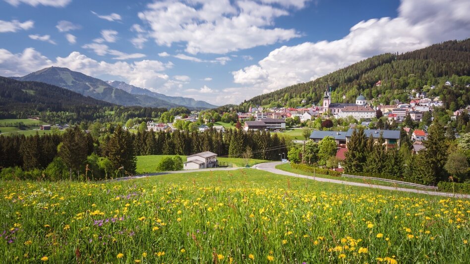 Hiking route Mariazell eye views: Archduke Johann Monument - Touren-Impression #2.1 | © TV Hochsteiermark