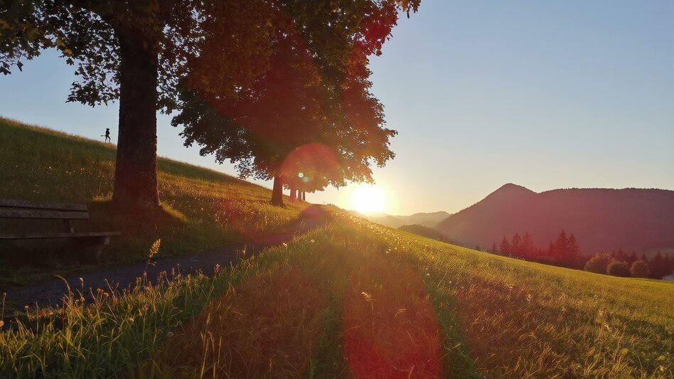 Hiking route Mariazell eye views: Archduke Johann Monument - Touren-Impression #2.2 | © TV Hochsteiermark