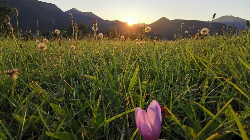 Hiking route Mariazell eye views: Archduke Johann Monument - Touren-Impression #2.4 | © TV Hochsteiermark