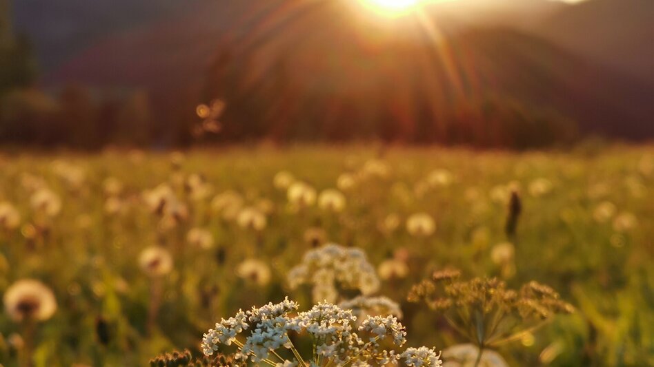 Hiking route Mariazell eye views: Archduke Johann Monument - Touren-Impression #2.8 | © TV Hochsteiermark