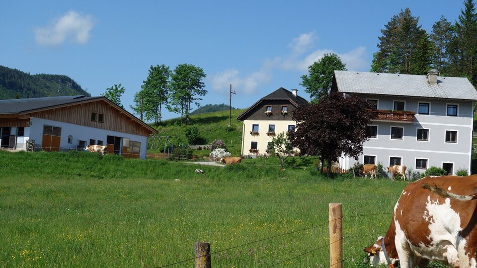 Hiking route Mariazell eye views: Feldbauer - Touren-Impression #2.2 | © TV Hochsteiermark