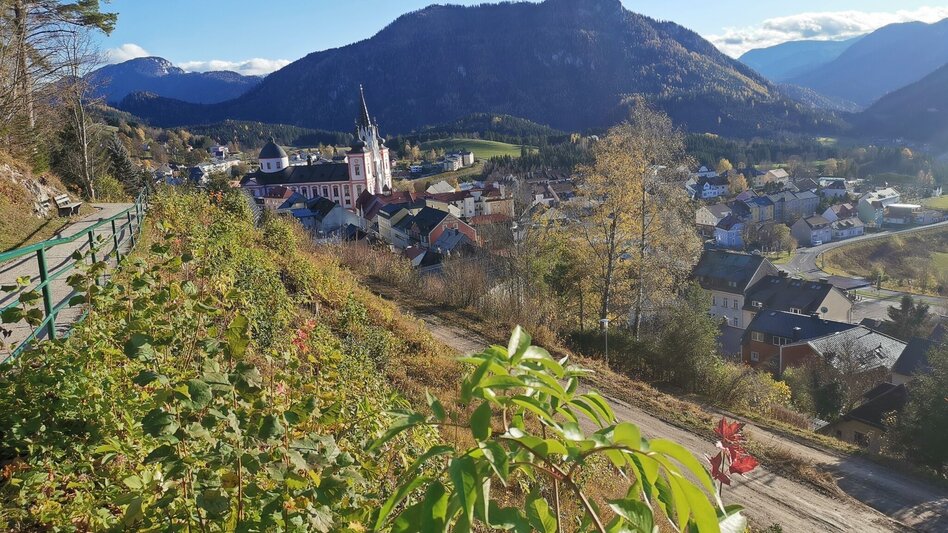 Hiking route Mariazeller Eye Views: Buschniggweg - Touren-Impression #2.3 | © TV Hochsteiermark