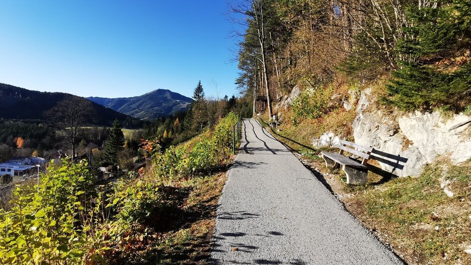 Hiking route Mariazeller Eye Views: Buschniggweg - Touren-Impression #2.4 | © TV Hochsteiermark