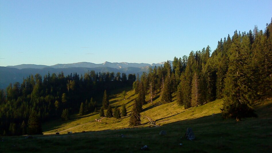 Hiking route Mariazell EYE View: Front Zeller Hut - Touren-Impression #2.3 | © TV Hochsteiermark