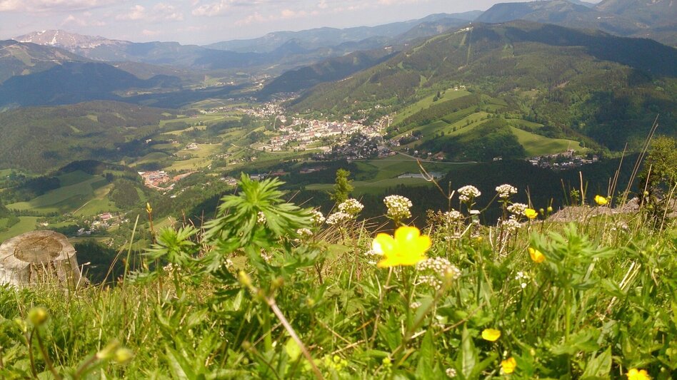 Wanderung Mariazeller AUGENblicke: Sauwand - Touren-Impression #2.10 | © TV Hochsteiermark