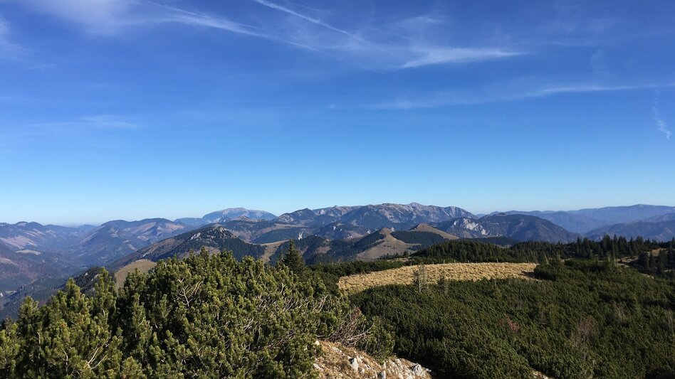 Hiking route Mariazell EYE View Tonion - Touren-Impression #2.7 | © TV Hochsteiermark