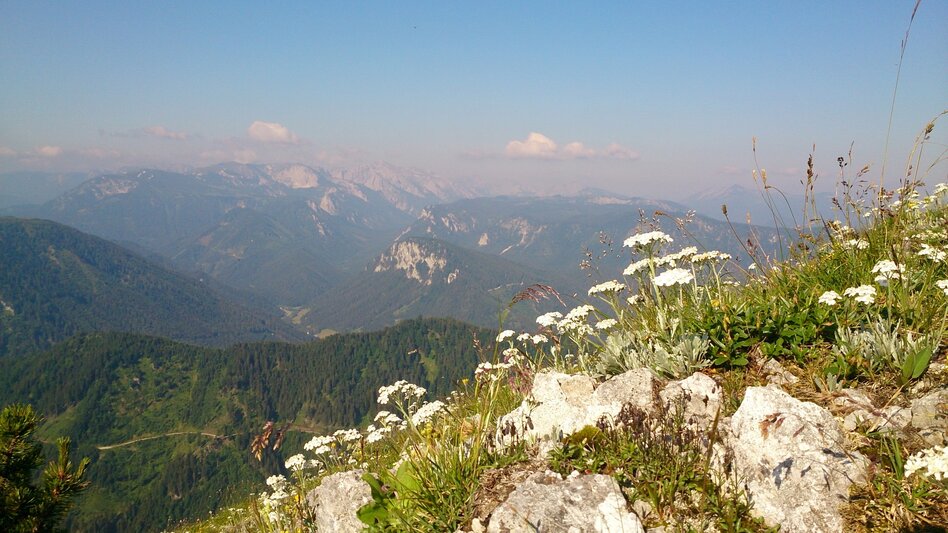 Hiking route Mariazell EYE View Tonion - Touren-Impression #2.8 | © TV Hochsteiermark